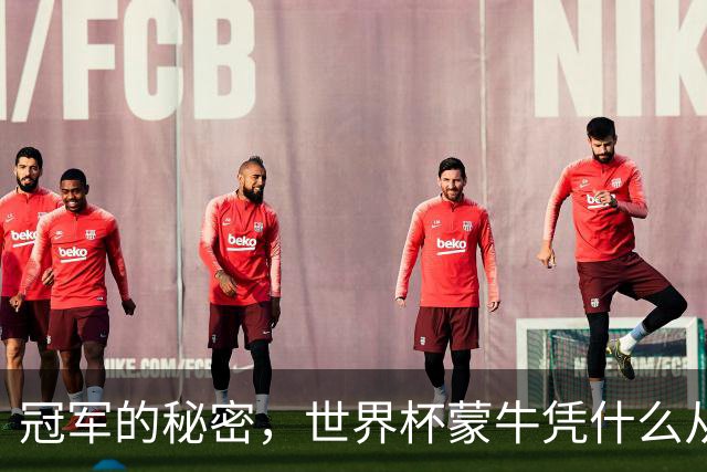 冠军的秘密，世界杯蒙牛凭什么从容不慌？